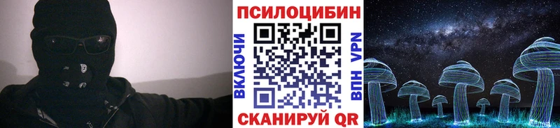 сколько стоит  Елабуга  Галлюциногенные грибы Magic Shrooms 